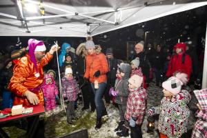 007 Pozdrav zimi inpraznik luci Foto atelje Postojna